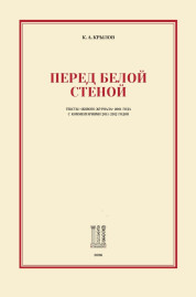 Перед белой стеной